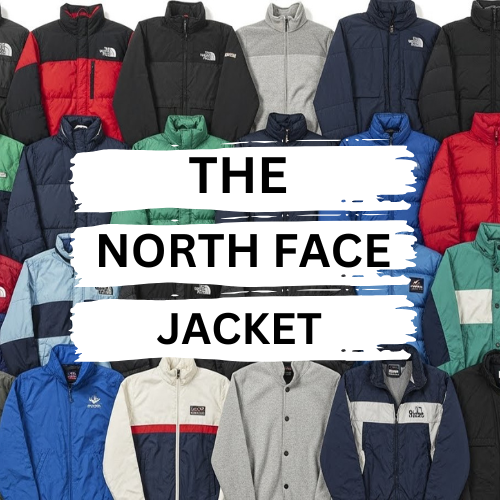 The north face jacket